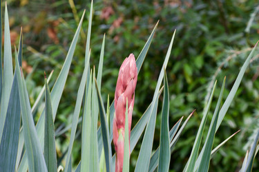 Similar image 21764079