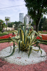 Similar image 21764084