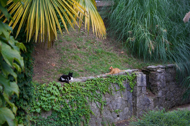 Similar image 21764087