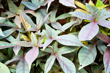 Similar image 21764144