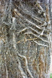 Similar image 21764146