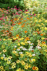 Similar image 21764147