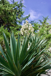 Similar image 21764148