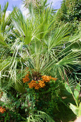 Similar image 21764152