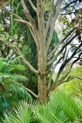 Similar image 21764154