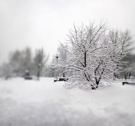 Similar image 21764196