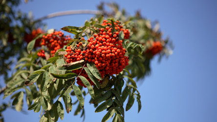 Similar image 21764201