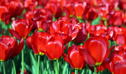 Similar image 21764203