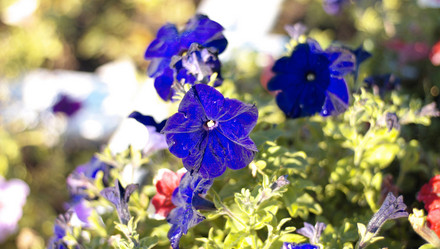 Similar image 21764204