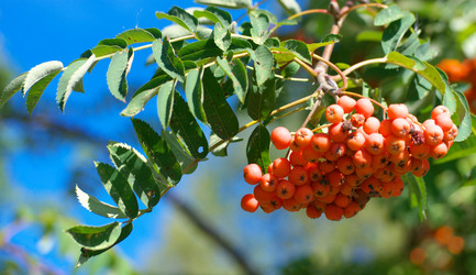 Similar image 21764207