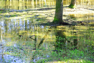 Similar image 21764244