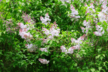 Similar image 21764246