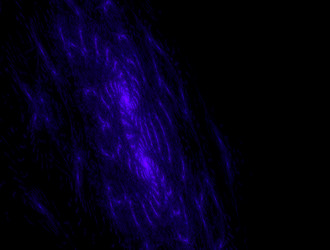 Similar image 21765606