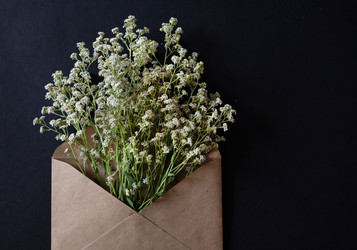 Similar image 21767074