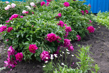 Similar image 21767079