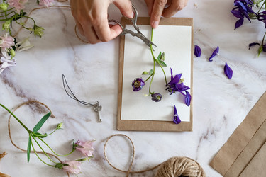 Similar image 21767081