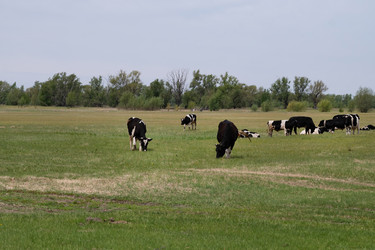 Similar image 21767082