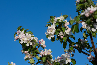 Similar image 21767085