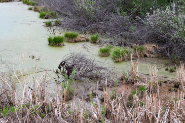 Similar image 21767088