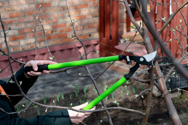 Similar image 21767091