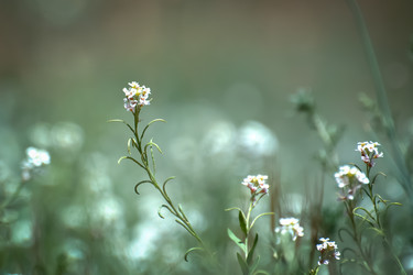 Similar image 21765439