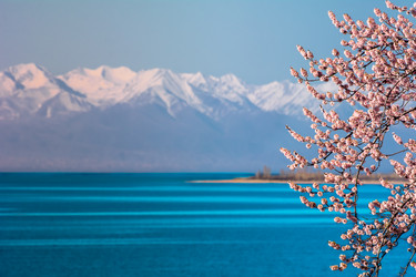 Similar image 21765440