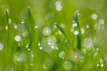 Similar image 21765449