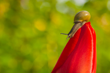 Similar image 21765451