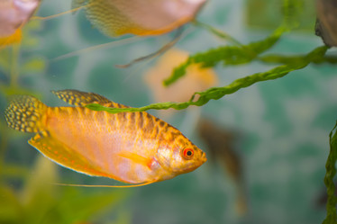 Similar image 21765460