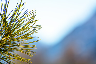 Similar image 21765462