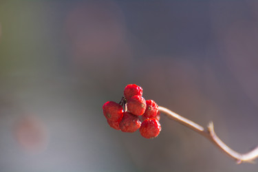 Similar image 21765463