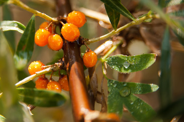 Similar image 21765467