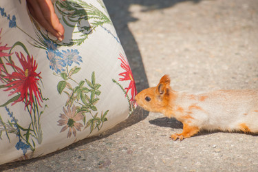 Similar image 21765469