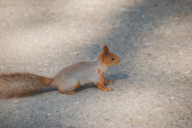 Similar image 21765470