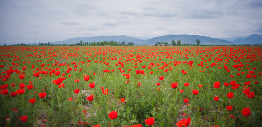 Similar image 21765474