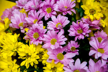 Similar image 21765476