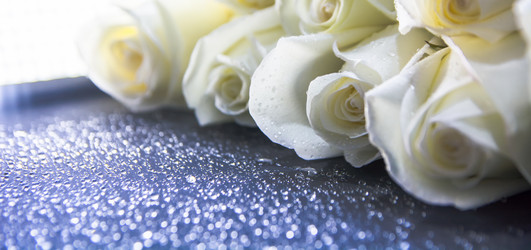 Similar image 21765479