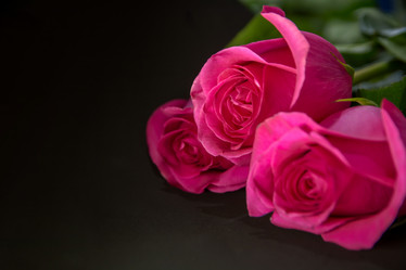 Similar image 21765480