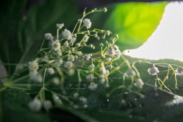 Similar image 21765482