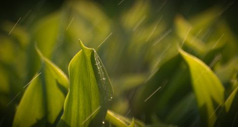 Similar image 21765483