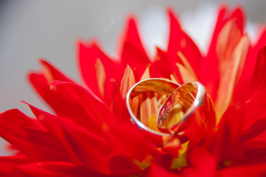 Similar image 21765484