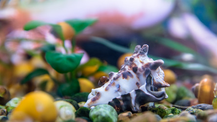 Similar image 21765487