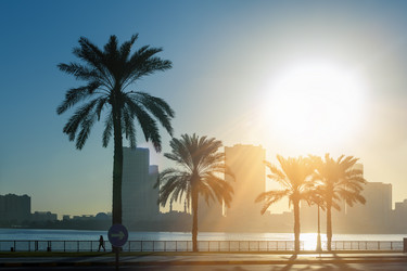 Similar image 21765087