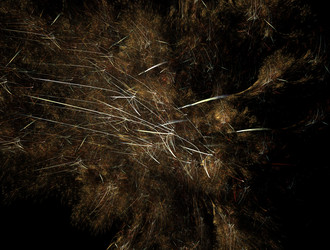 Similar image 21765673