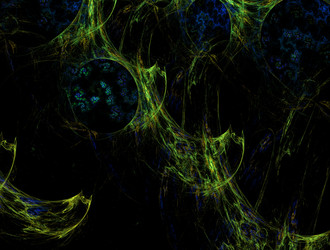 Similar image 21765678