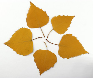 Similar image 21764845