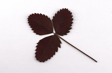 Similar image 21764846