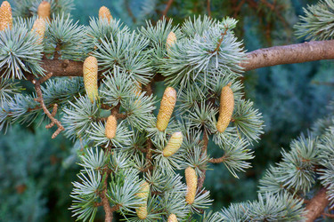 Similar image 21765306