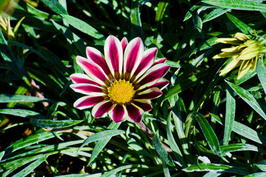 Similar image 21765312