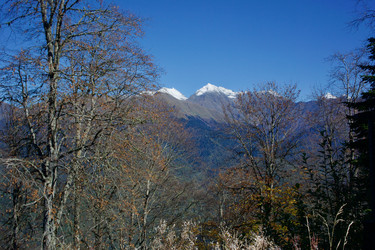 Similar image 21765316